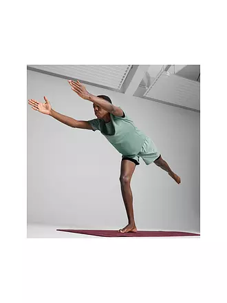 PUMA | Herren Fitnessshirt Move Triblend | 